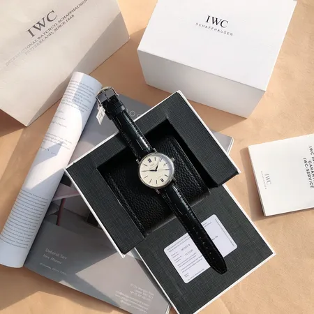 インターナショナル ウォッチ カンパニー 腕時計