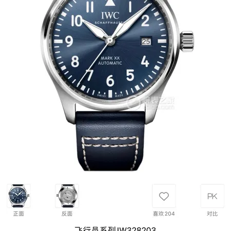 インターナショナル ウォッチ カンパニー 腕時計