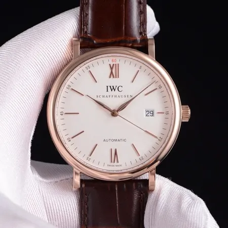 インターナショナル ウォッチ カンパニー 腕時計