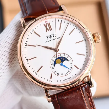 インターナショナル ウォッチ カンパニー 腕時計