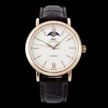 インターナショナル ウォッチ カンパニー 腕時計