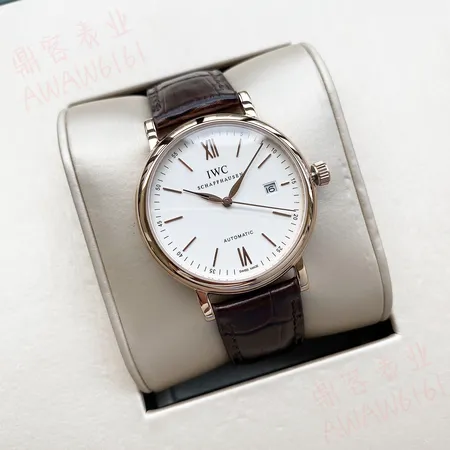 インターナショナル ウォッチ カンパニー 腕時計