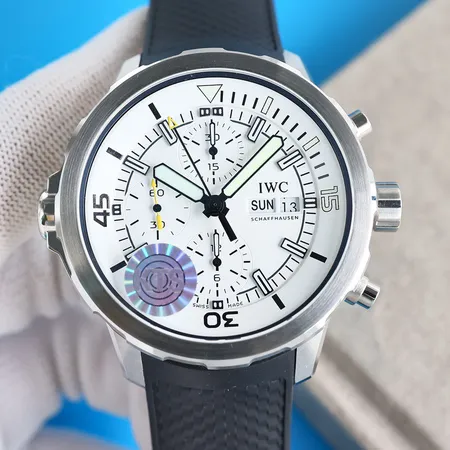 インターナショナル ウォッチ カンパニー 腕時計