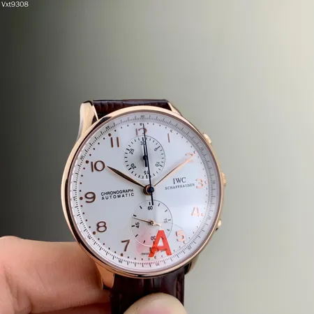 インターナショナル ウォッチ カンパニー 腕時計