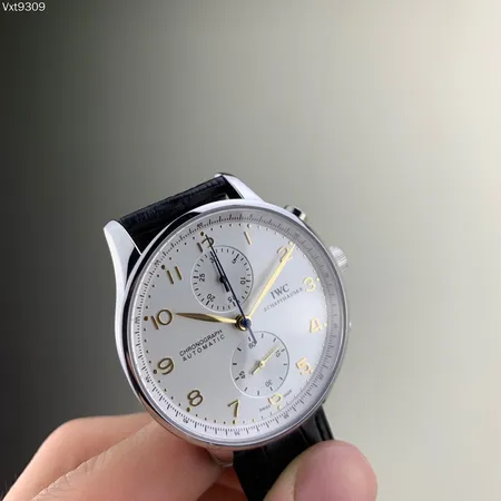 インターナショナル ウォッチ カンパニー 腕時計