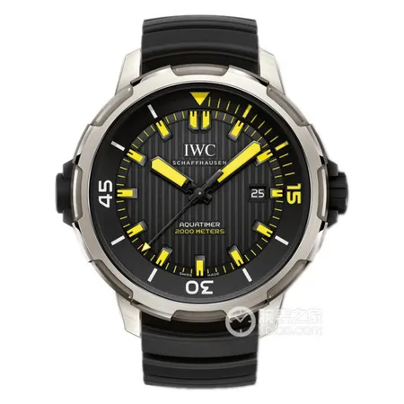 インターナショナル ウォッチ カンパニー 腕時計