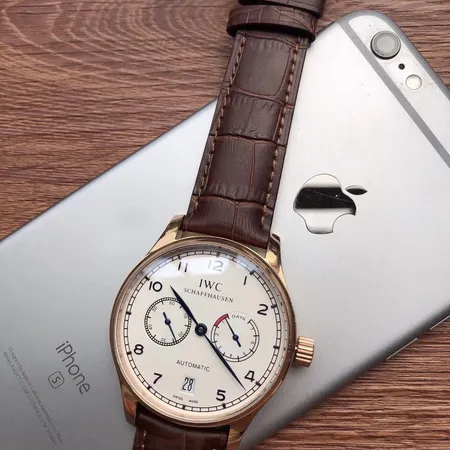 インターナショナル ウォッチ カンパニー 腕時計