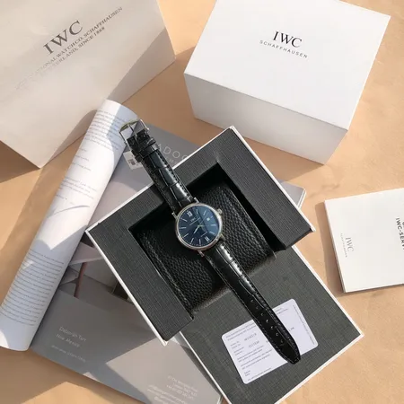 インターナショナル ウォッチ カンパニー 腕時計