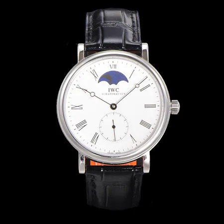 インターナショナル ウォッチ カンパニー 腕時計