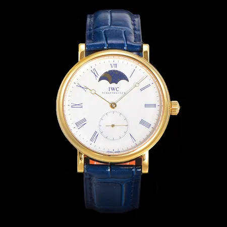 インターナショナル ウォッチ カンパニー 腕時計