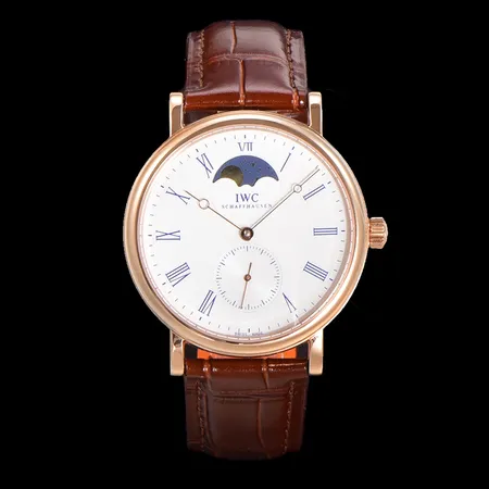 インターナショナル ウォッチ カンパニー 腕時計