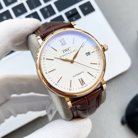 インターナショナル ウォッチ カンパニー 腕時計