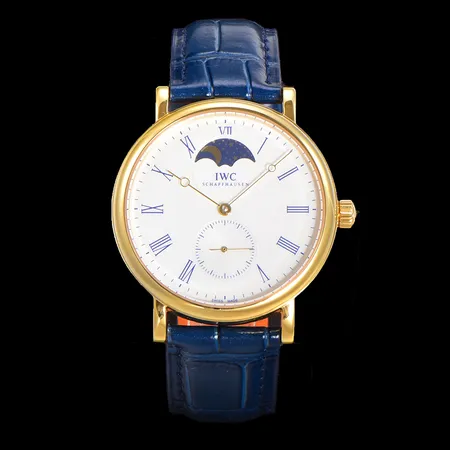 インターナショナル ウォッチ カンパニー 腕時計