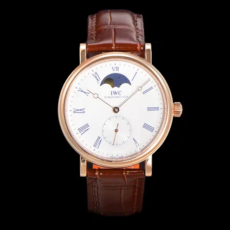 インターナショナル ウォッチ カンパニー 腕時計