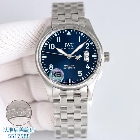 インターナショナル ウォッチ カンパニー 腕時計