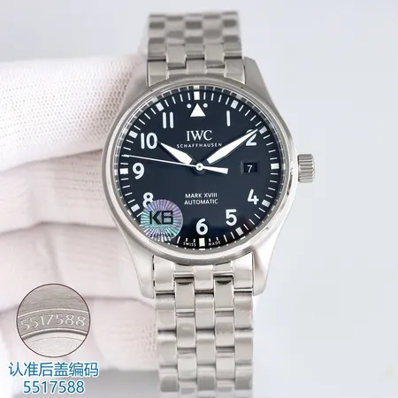 インターナショナル ウォッチ カンパニー 腕時計