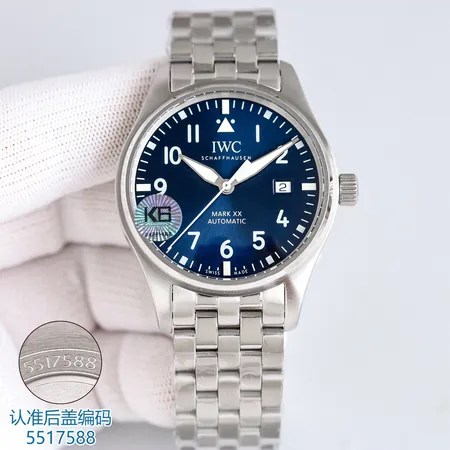 インターナショナル ウォッチ カンパニー 腕時計