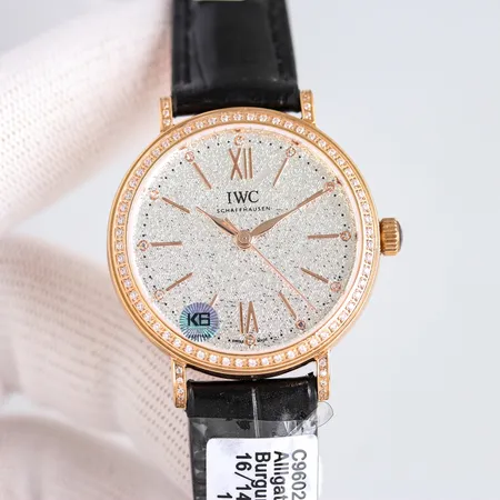 インターナショナル ウォッチ カンパニー 腕時計