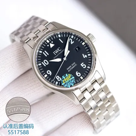 インターナショナル ウォッチ カンパニー 腕時計