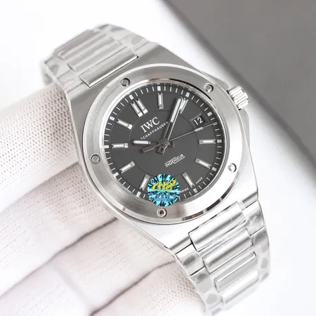 インターナショナル ウォッチ カンパニー 腕時計