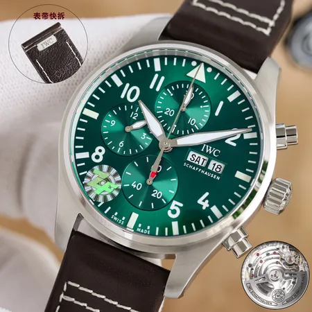 インターナショナル ウォッチ カンパニー 腕時計