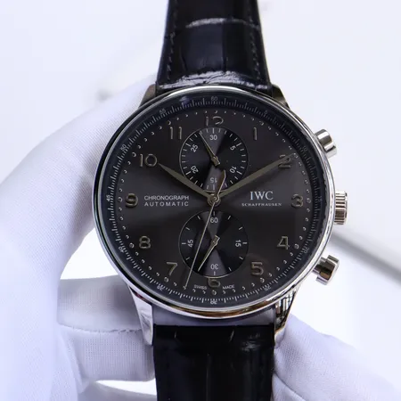 インターナショナル ウォッチ カンパニー 腕時計