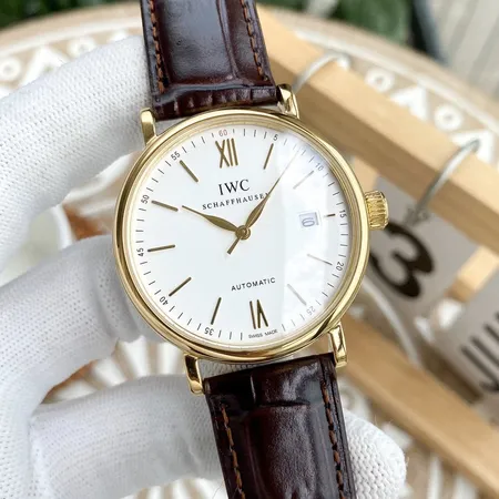 インターナショナル ウォッチ カンパニー 腕時計