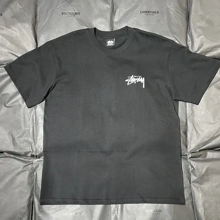 ステューシー Tシャツ