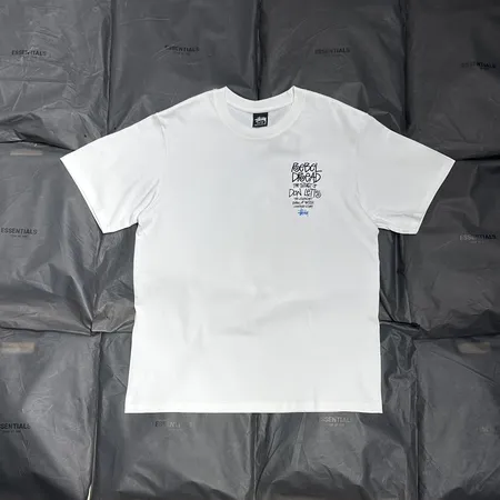 ステューシー Tシャツ