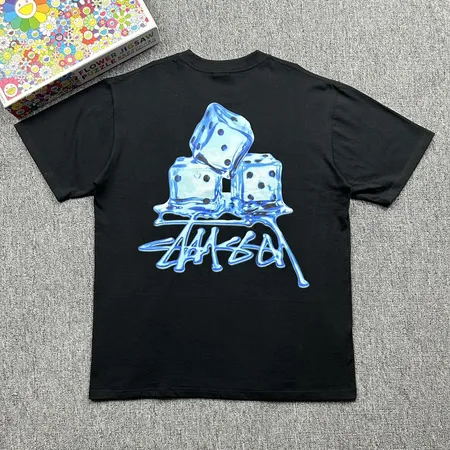 ステューシー Tシャツ