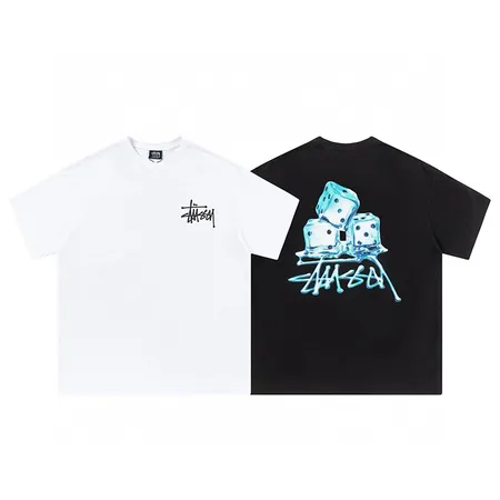ステューシー Tシャツ