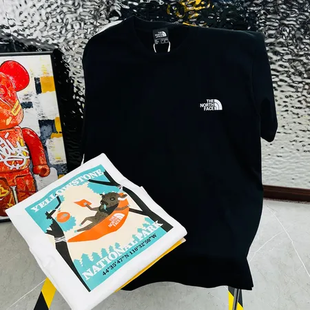 ノースフェイス Tシャツ