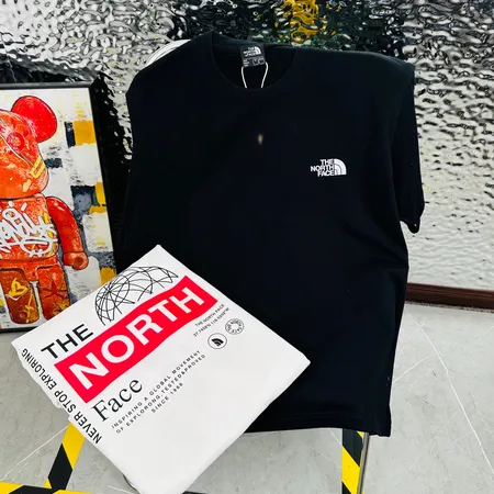 ノースフェイス Tシャツ