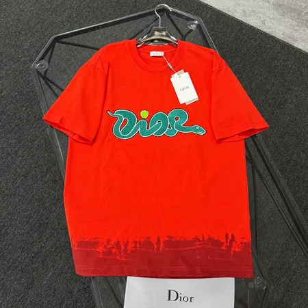 ディオール Tシャツ