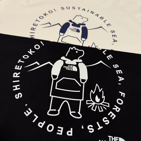 ノースフェイス Tシャツ