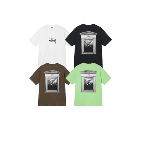 ステューシー Tシャツ