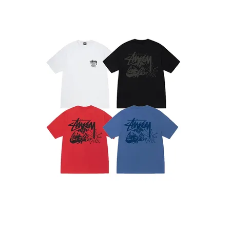 ステューシー Tシャツ