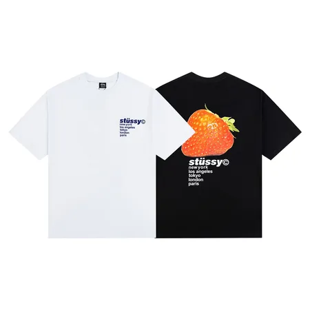ステューシー Tシャツ