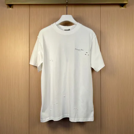 ディオール Tシャツ