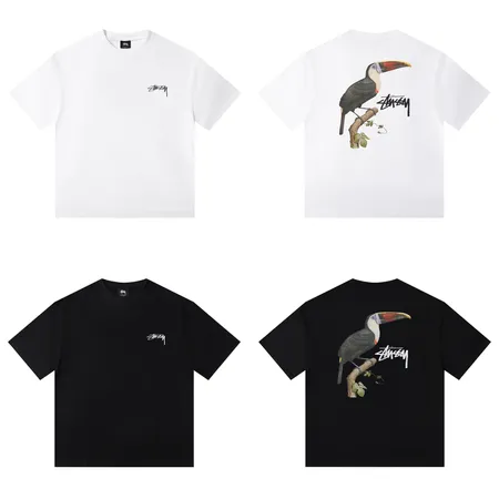 ステューシー Tシャツ