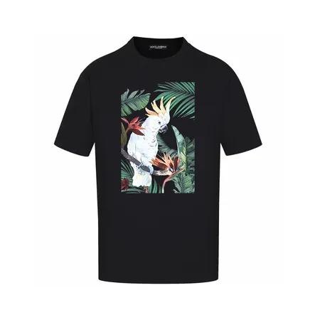 ドルチェ＆ガッバーナ Tシャツ