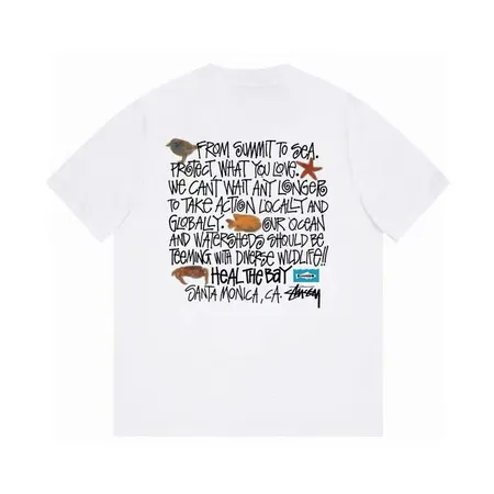 ステューシー Tシャツ