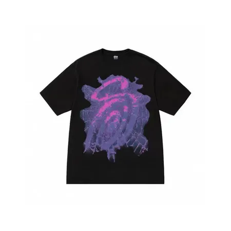 ステューシー Tシャツ