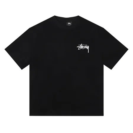 ステューシー Tシャツ