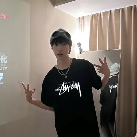 ステューシー Tシャツ