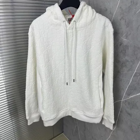 ディオール パーカー