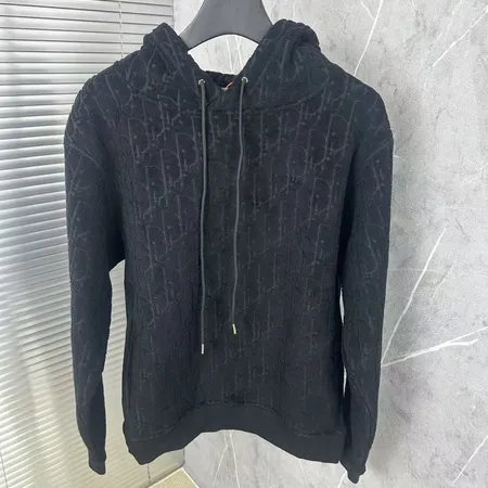 ディオール パーカー