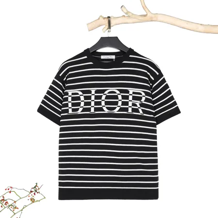 ディオール Tシャツ
