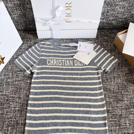 ディオール Tシャツ