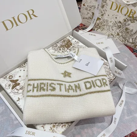 ディオール Tシャツ